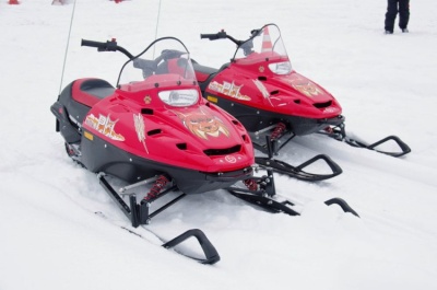 ТАЙГА РМ РЫСЬ