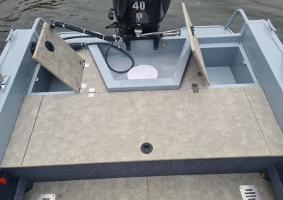 Моторная лодка Freestyle 430 Fish
