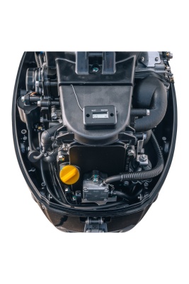 Мотор Reef Rider RREF20HES