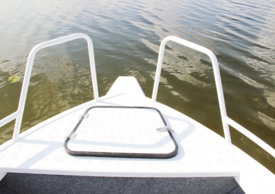 Моторная лодка Freestyle 475 BR