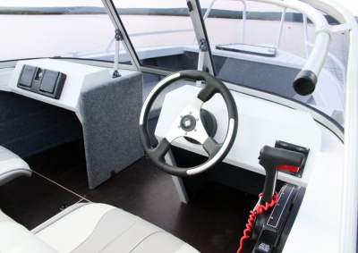 Моторная лодка Freestyle 475 BR