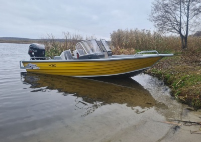 Моторная лодка Freestyle 430 Fish