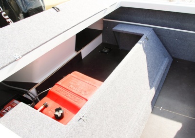 Моторная лодка Freestyle 475 BR